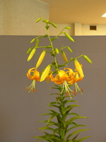 Foto: Dr. Peter Müller